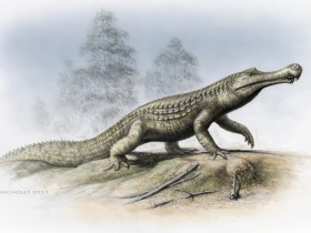 祖巨蜥鳄:完全陆生的史前巨鳄
