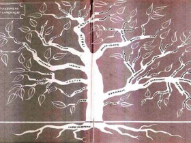 让一棵树闭嘴,等于杀了它!