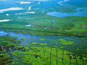 一条“自然”的河流,是什么样子的?