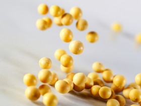 中国人将吃到由中国人研发的在阿根廷种植再进口的转基因大豆