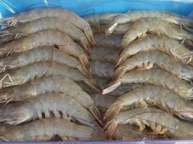 41天10地食品检出新冠病毒,意味着什么?