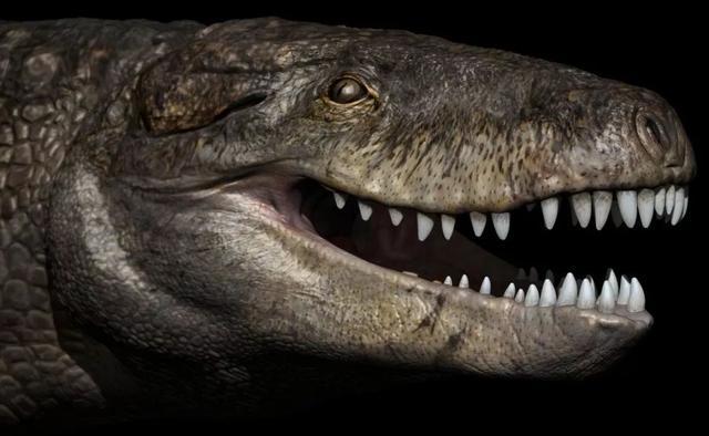 祖巨蜥鳄：完全陆生的史前巨鳄