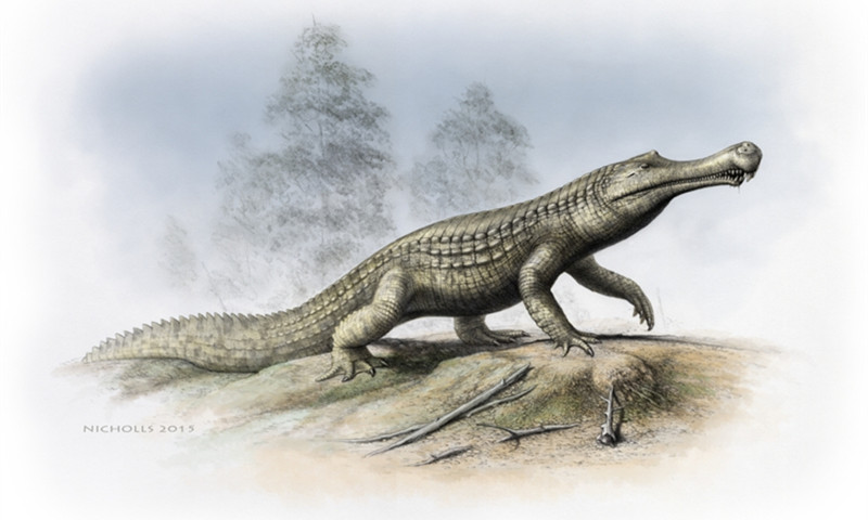 祖巨蜥鳄：完全陆生的史前巨鳄