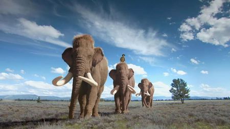 猛犸象、剑齿虎的灭绝造成了什么后果？