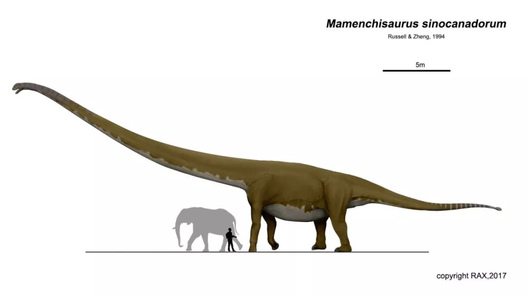 恐龙脖子那么长，到底哪种恐龙的脖子最长？