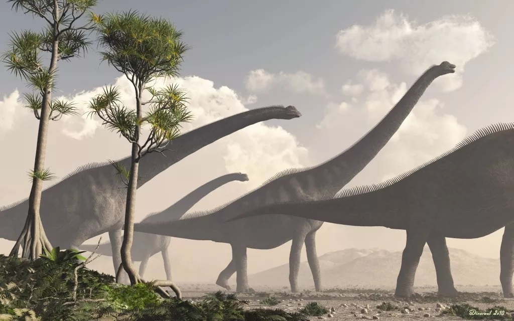 恐龙脖子那么长，到底哪种恐龙的脖子最长？