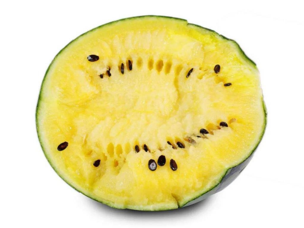 黄瓤西瓜是不是转基因品种？