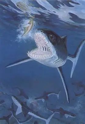 裂口鲨：4亿年前的鲨鱼家族老祖宗