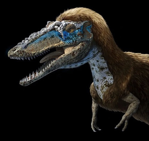 恐龙陷入致命泥潭，经过千万年变成化石